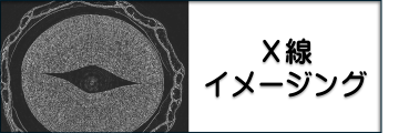 X-ray Imaging